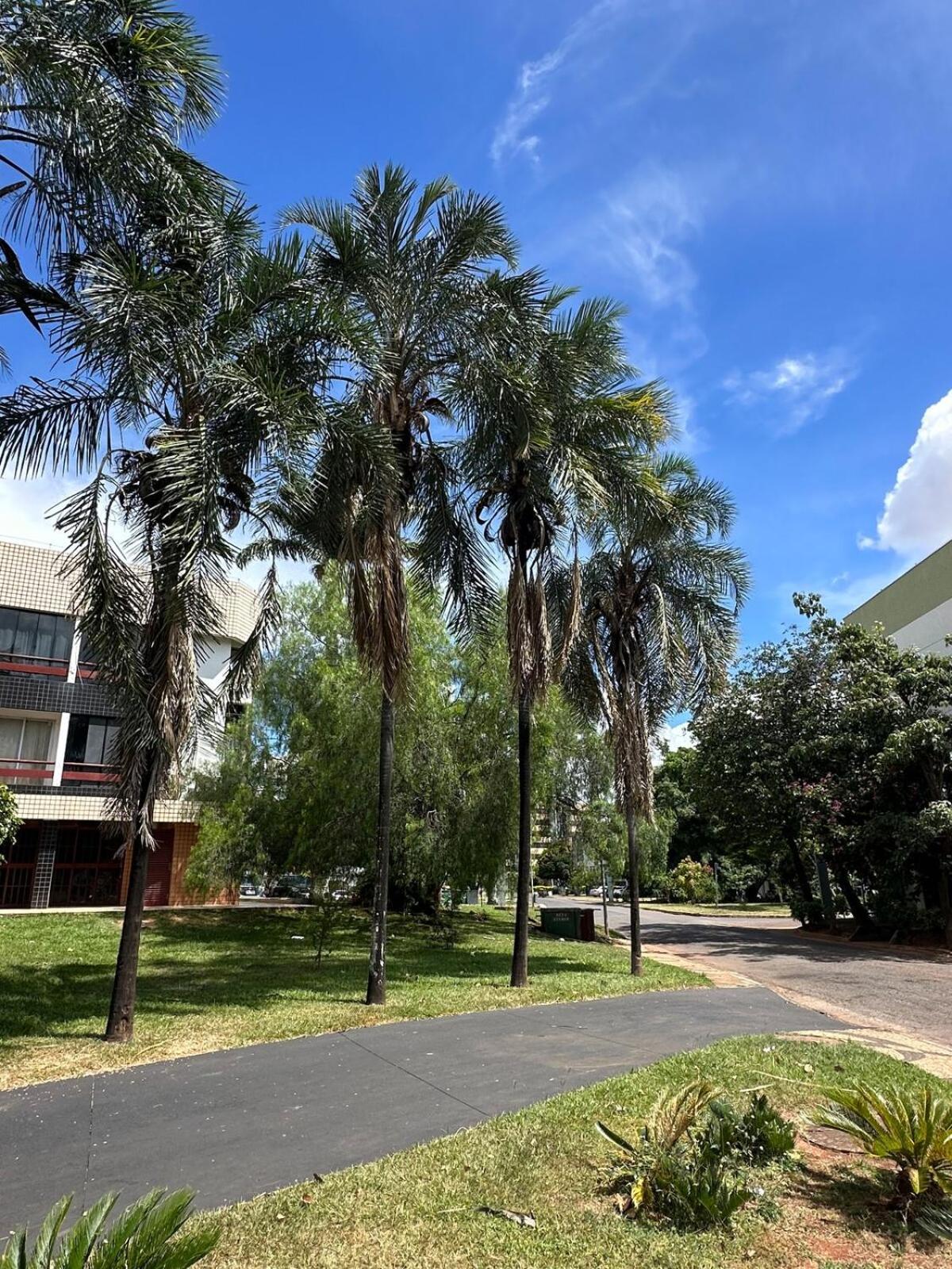 Sudoeste, Novo